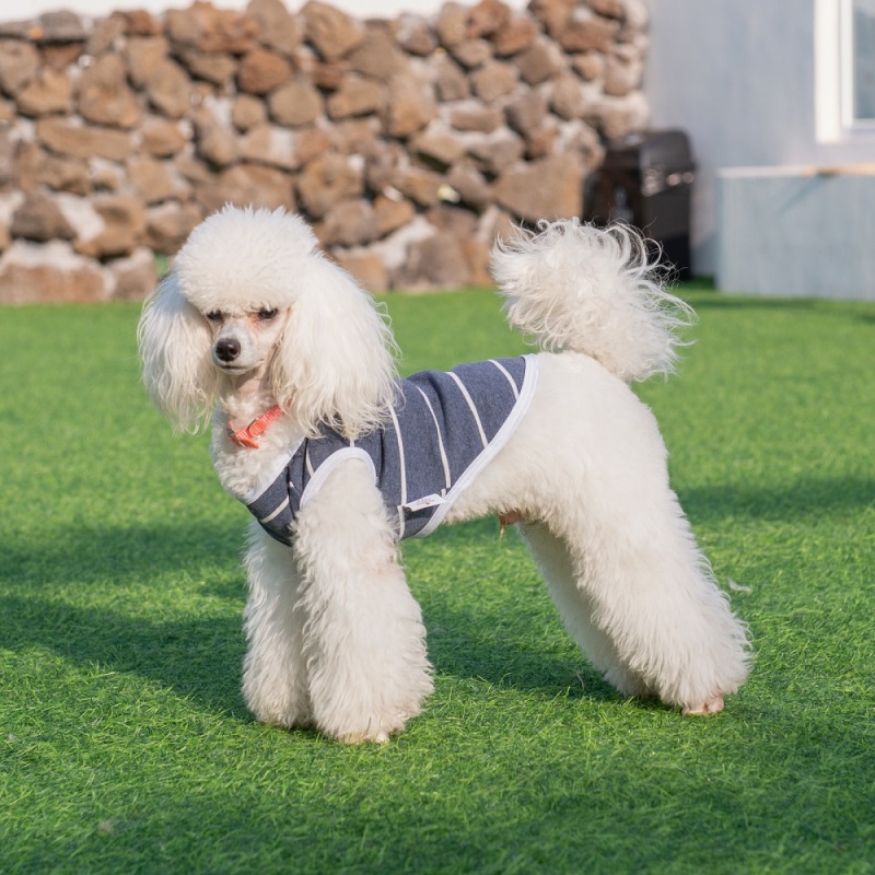 Black&amp;Grey Stripe Dog shirt