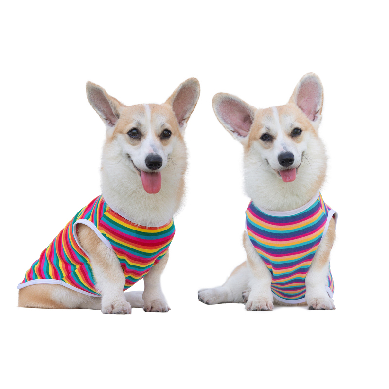 Rainbow Color Dog shirt