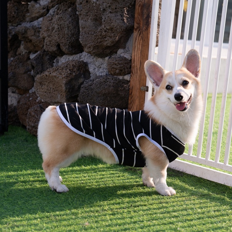 Black&amp;Grey Stripe Dog shirt