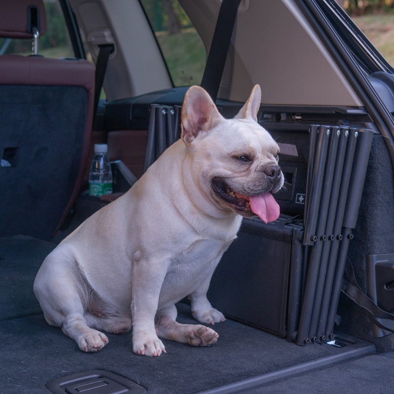 Foldable Dog Ramp