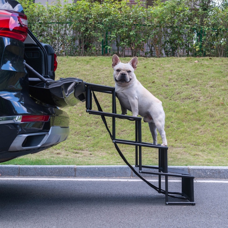 Foldable Dog Ramp