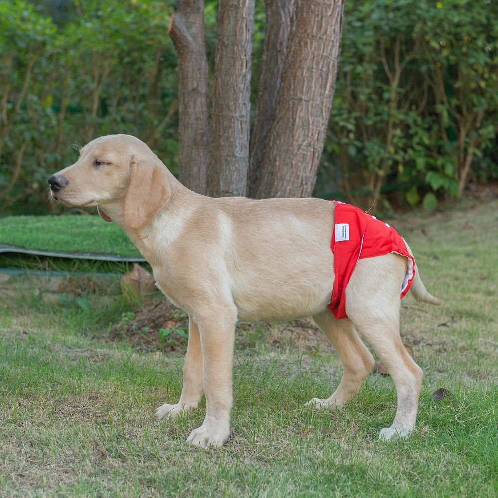 3 Pack Plain Color Female Dog Diapers - Red&Purple&Rose red