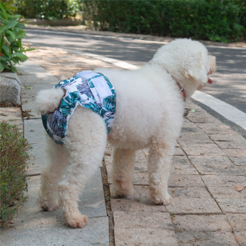 3 Pack Jungle Series Female Dog Diapers- 4#Floral