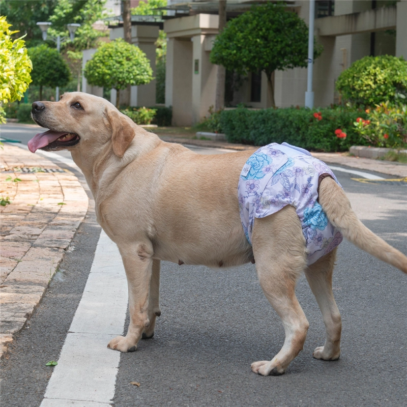 3 Pack Jungle Series Female Dog Diapers- 2#Floral