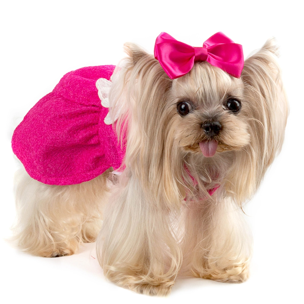 open lace back dress Laifug Dog Dress Puppy Pink Argyle Jacquard Cute Party Wear – LaiFug main image 1
