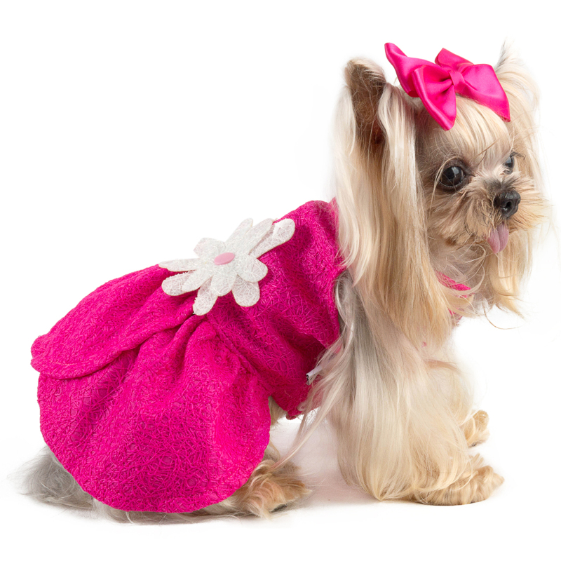 Dog Dress with Bow tie gift
