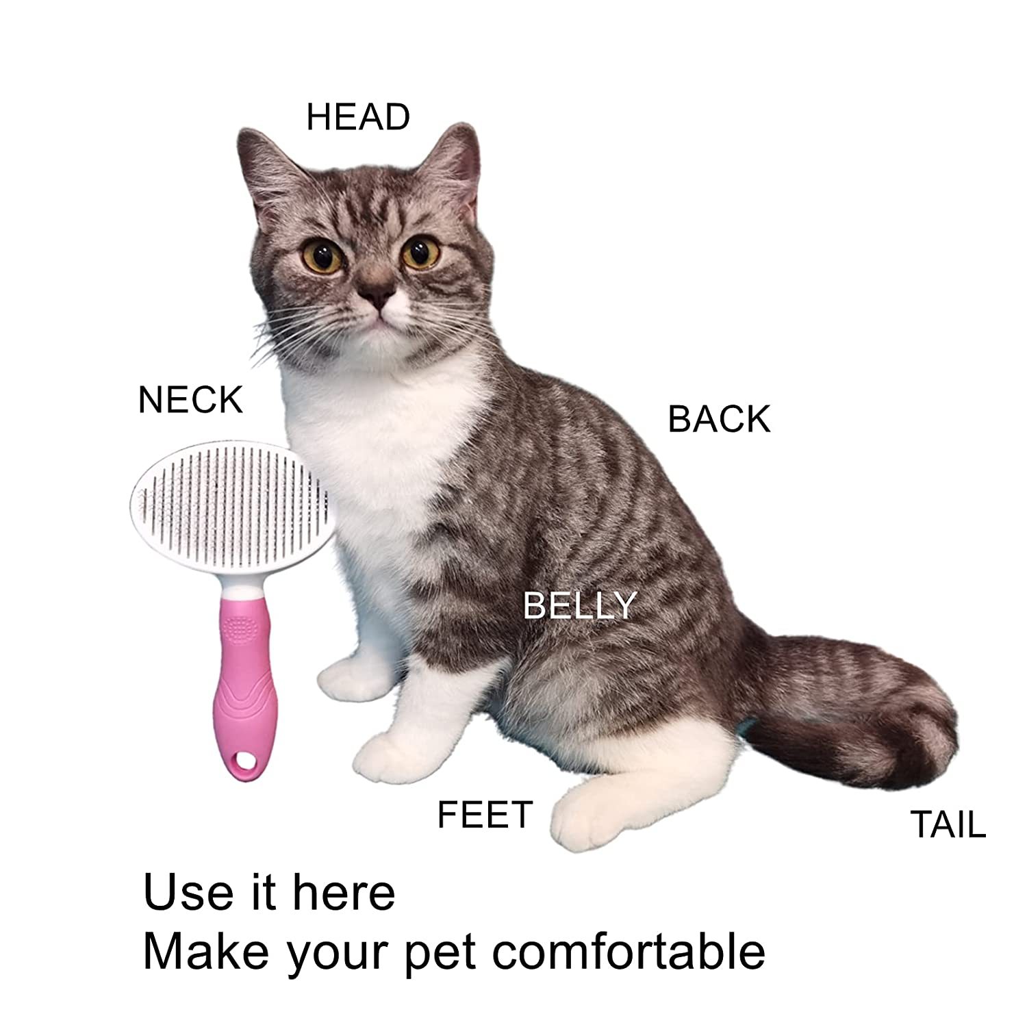 CuteBone Dog & Cat Brush