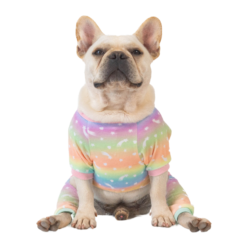 Pajamas Birthday Party Costume for Small Dogs Onesie Shirt