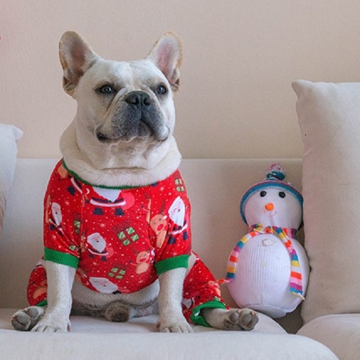 Christmas Pajamas Sweater Gifts for Small Dogs Clothes