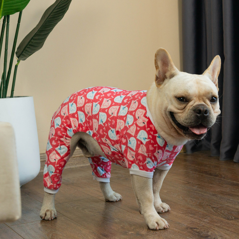 Pajamas Birthday Party Costume for Small Dogs Onesie Shirt