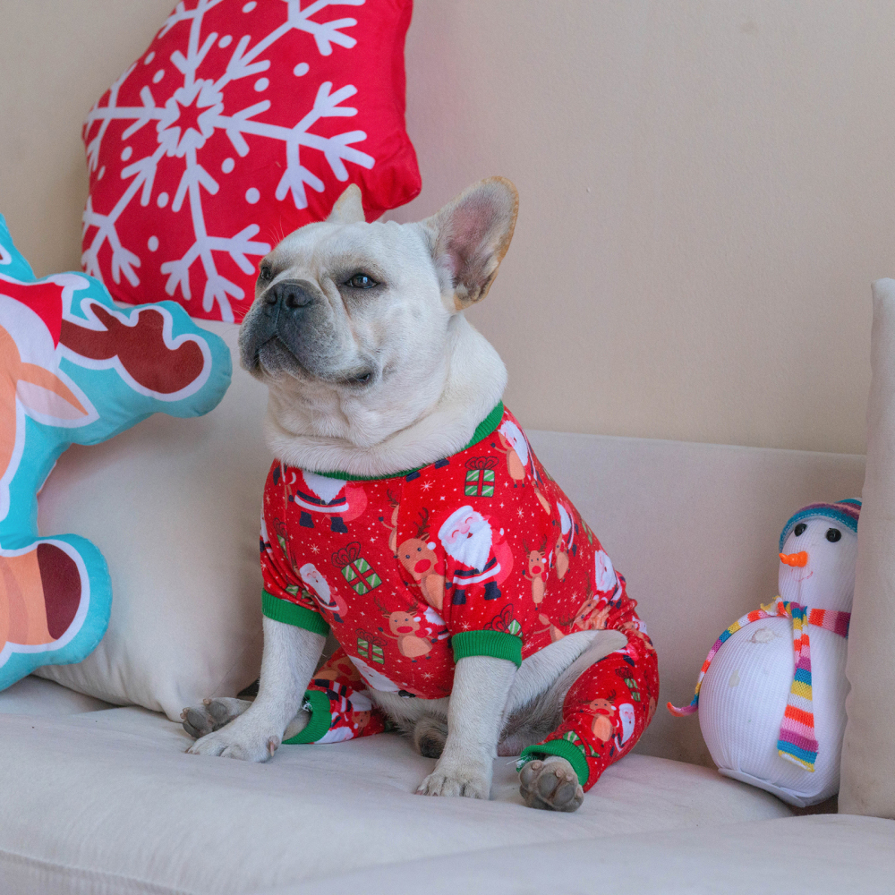 Christmas Pajamas Sweater Gifts for Small Dogs Clothes