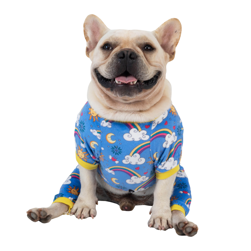 Winter Dog Pajamas Snowflake Pattern