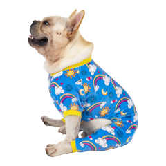 Winter Dog Pajamas Snowflake Pattern