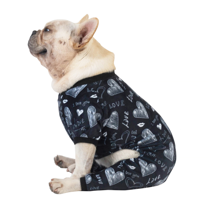 Winter Dog Pajamas Love Pattern