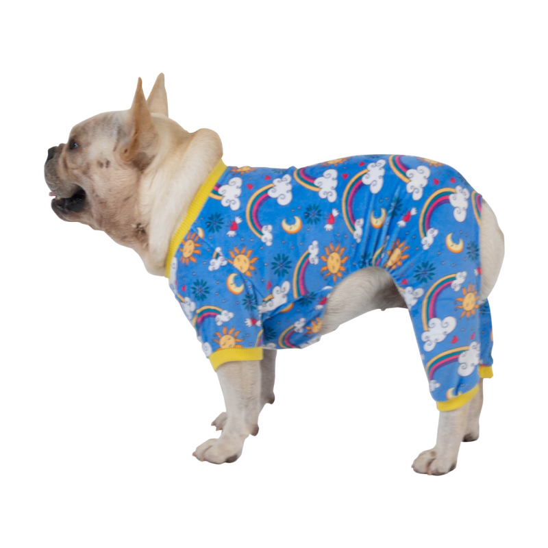 Winter Dog Pajamas Snowflake Pattern