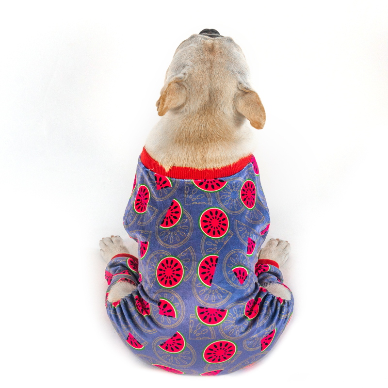 2 pack of Strawberry and Watermelon Dog Pajamas