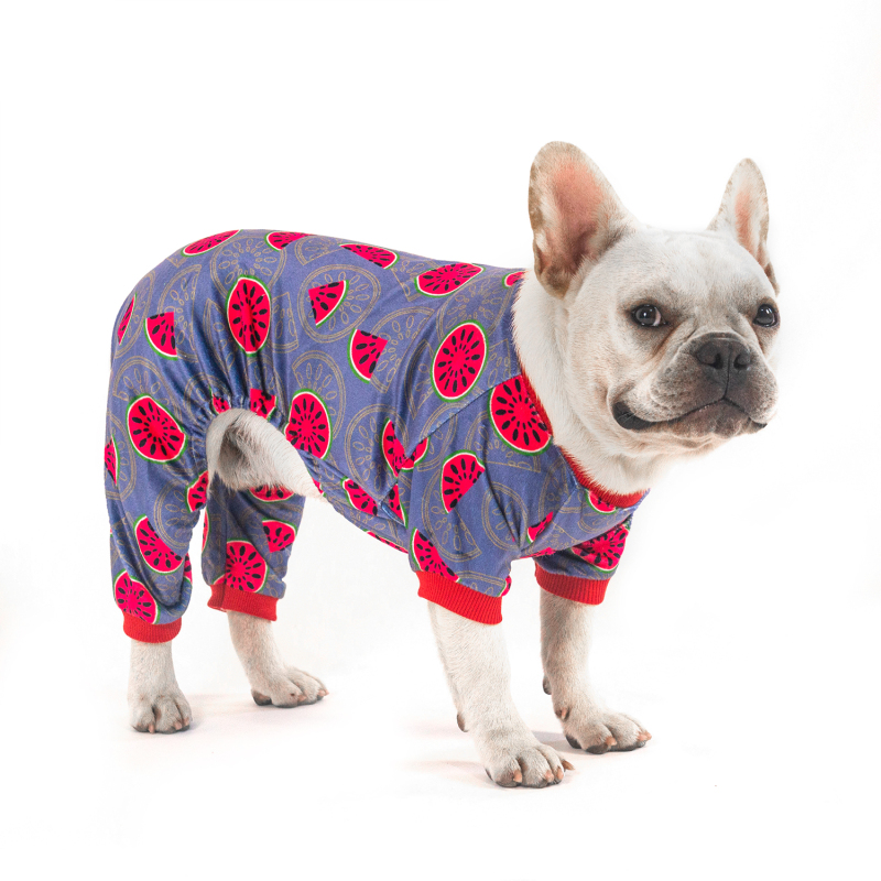 2 pack of Strawberry and Watermelon Dog Pajamas