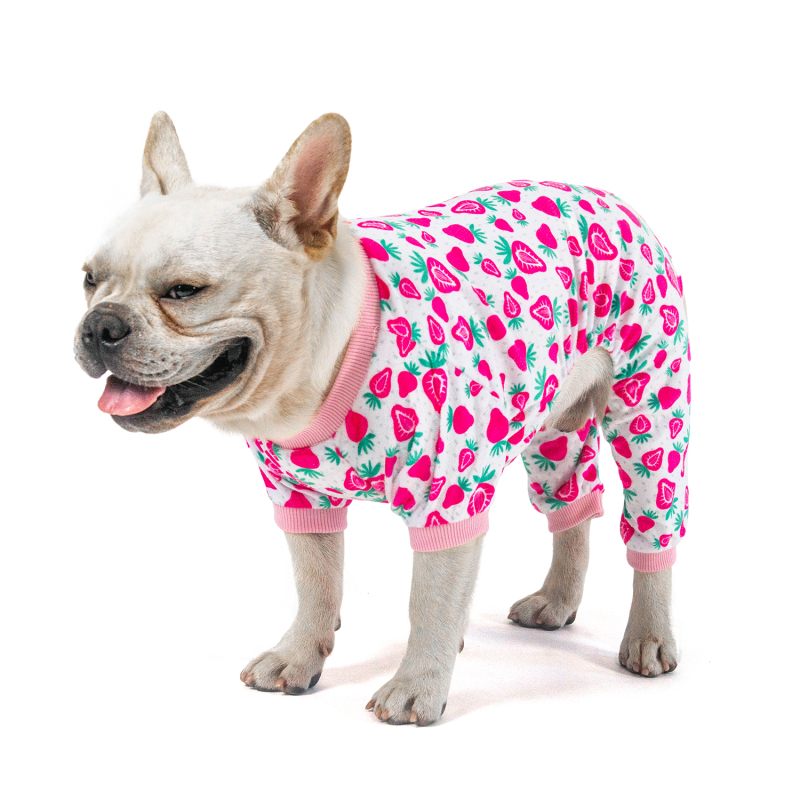 2 pack of Strawberry and Watermelon Dog Pajamas