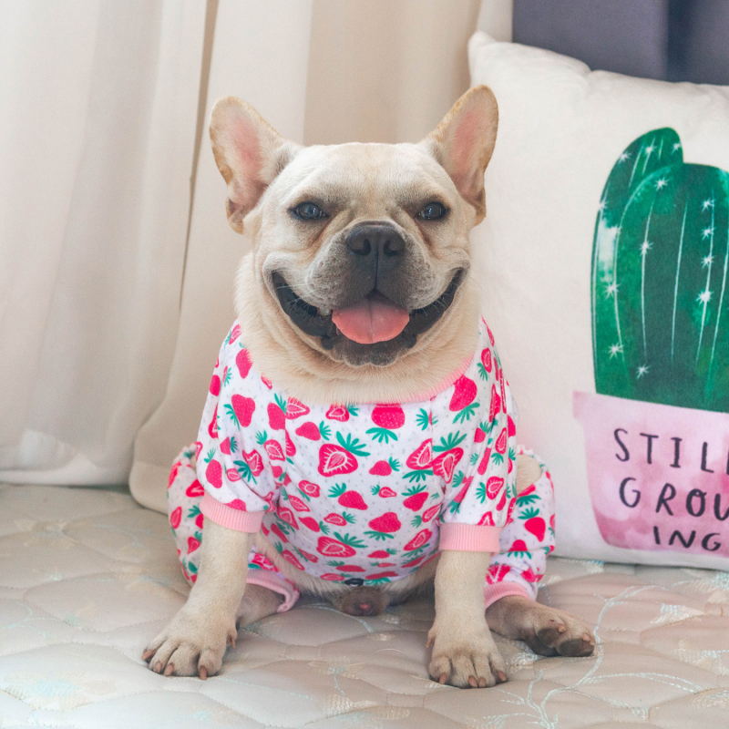 2 pack of Strawberry and Watermelon Dog Pajamas