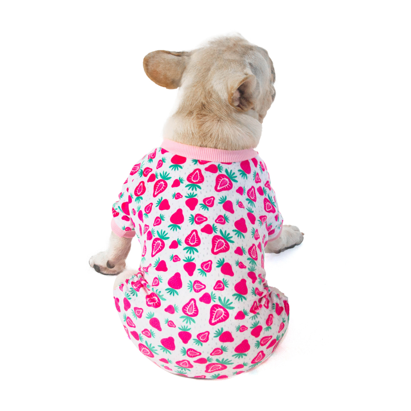 2 pack of Strawberry and Watermelon Dog Pajamas