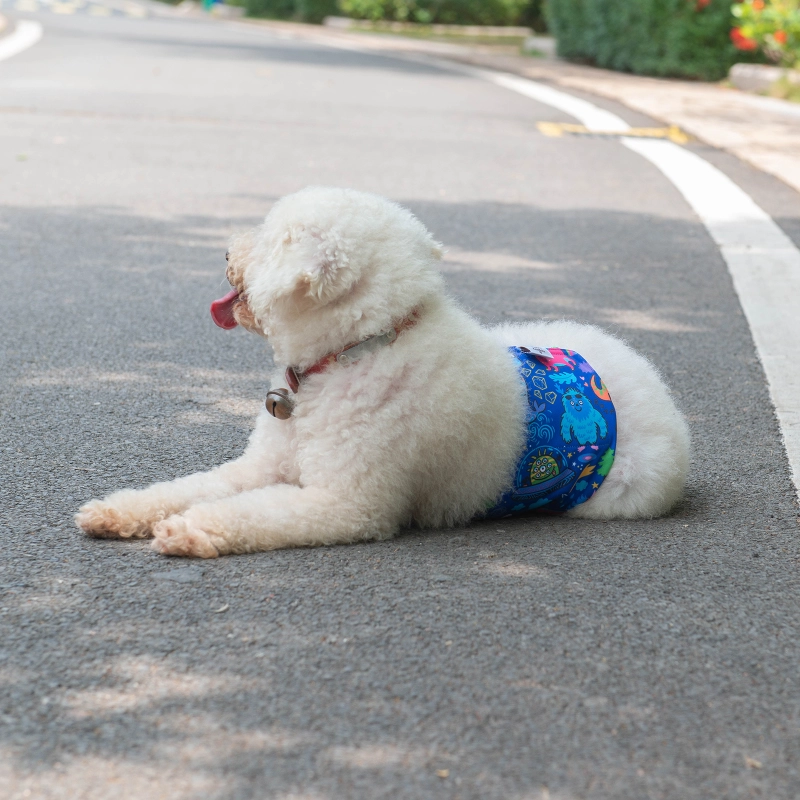 CuteBone Male Dog Diapers Belly Bands 3 Pack for Male Dogs Wraps Washable Doggie Pants