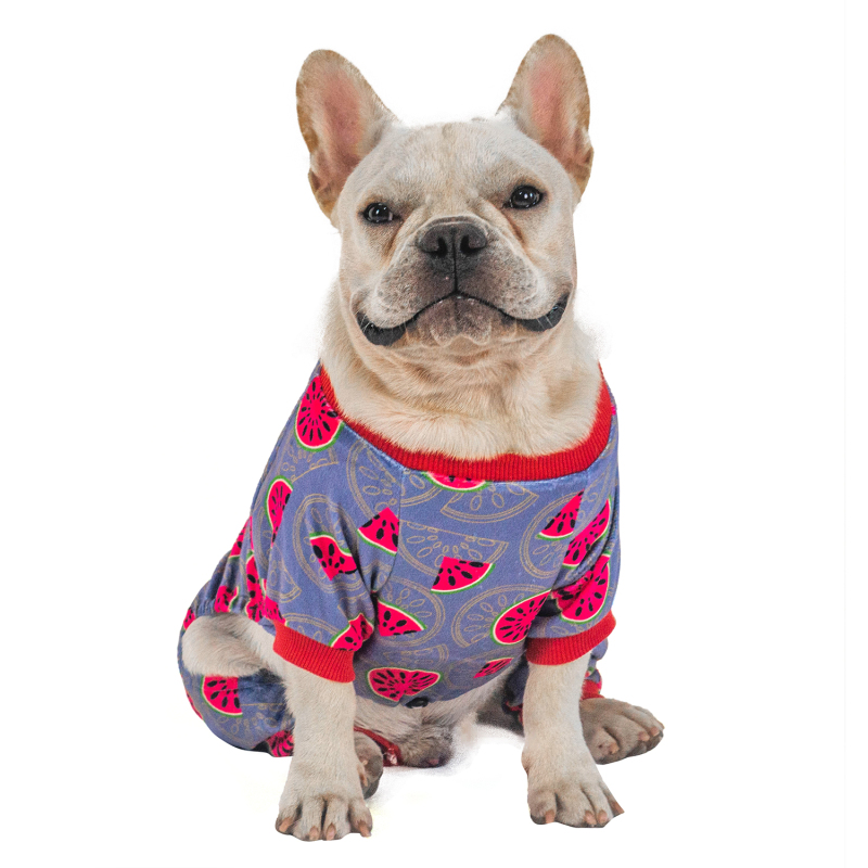 2 pack of Strawberry and Watermelon Dog Pajamas