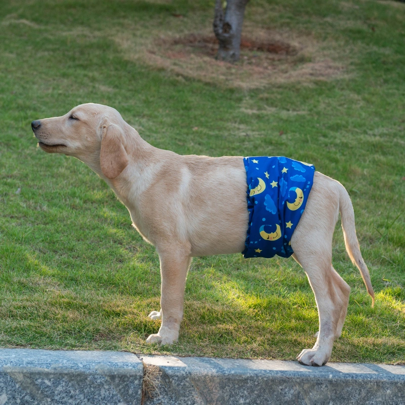 Male Dog Diapers Belly Bands 3 Pack for Male Dogs Wraps Washable Doggie Pants