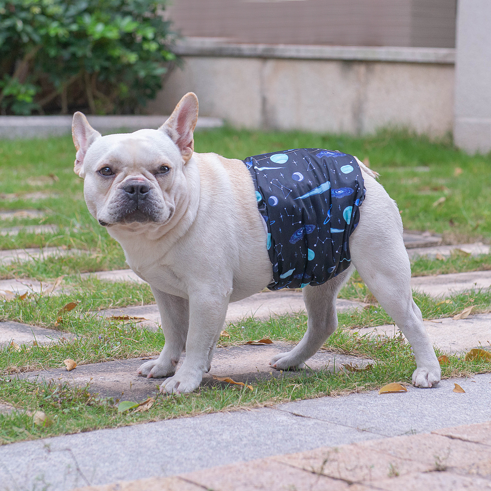 Male Dog Diapers Belly Bands 3 Pack for Male Dogs Wraps Washable Doggie Pants