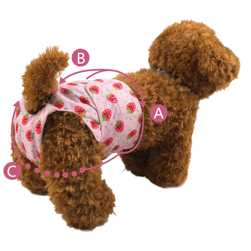CuteBone Washable Female Dog Diapers 3 Pack