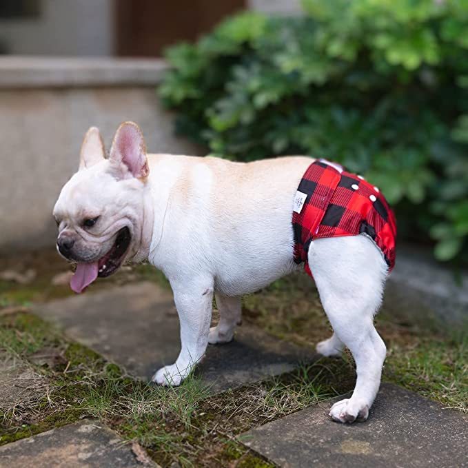 CuteBone Reusable Dog Diapers Female 3 Pack Washable Puppy Pants for Doggie Heat Period