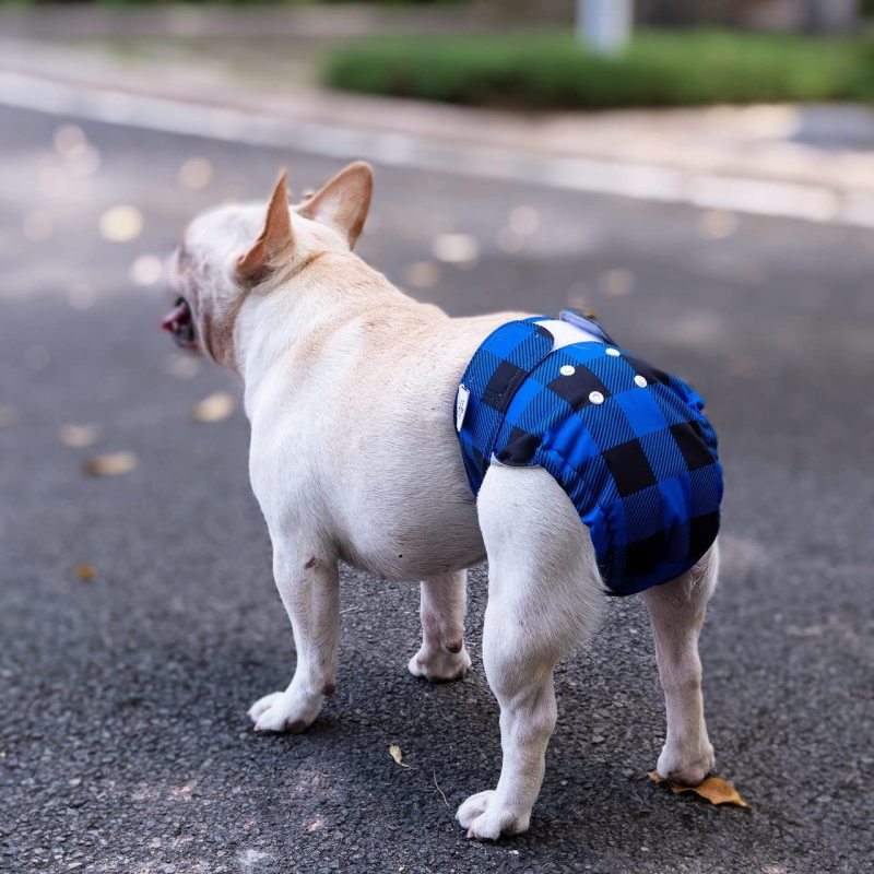 CuteBone Reusable Dog Diapers Female 3 Pack Washable Puppy Pants for Doggie Heat Period