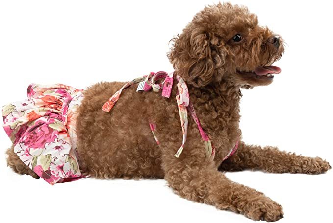 CuteBone Dog Bikini 2-Pack Swimsuit Puppy Bathing Suit for Small Dogs Clothes Flower & Pink Pig Girl Costume