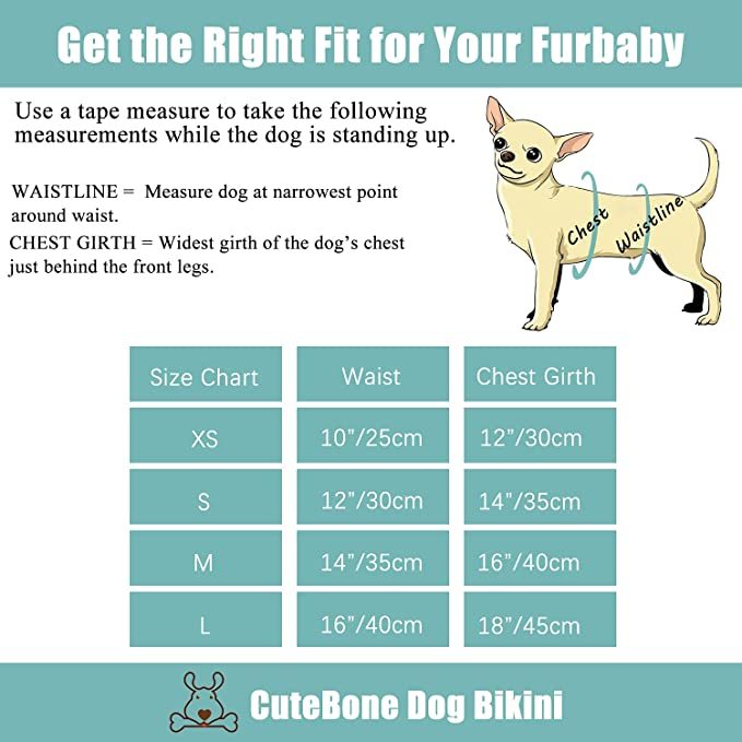 CuteBone Dog Bikini Swimsuit Puppy Bathing Suit for Small Dogs Cloth Girl Costume Purple