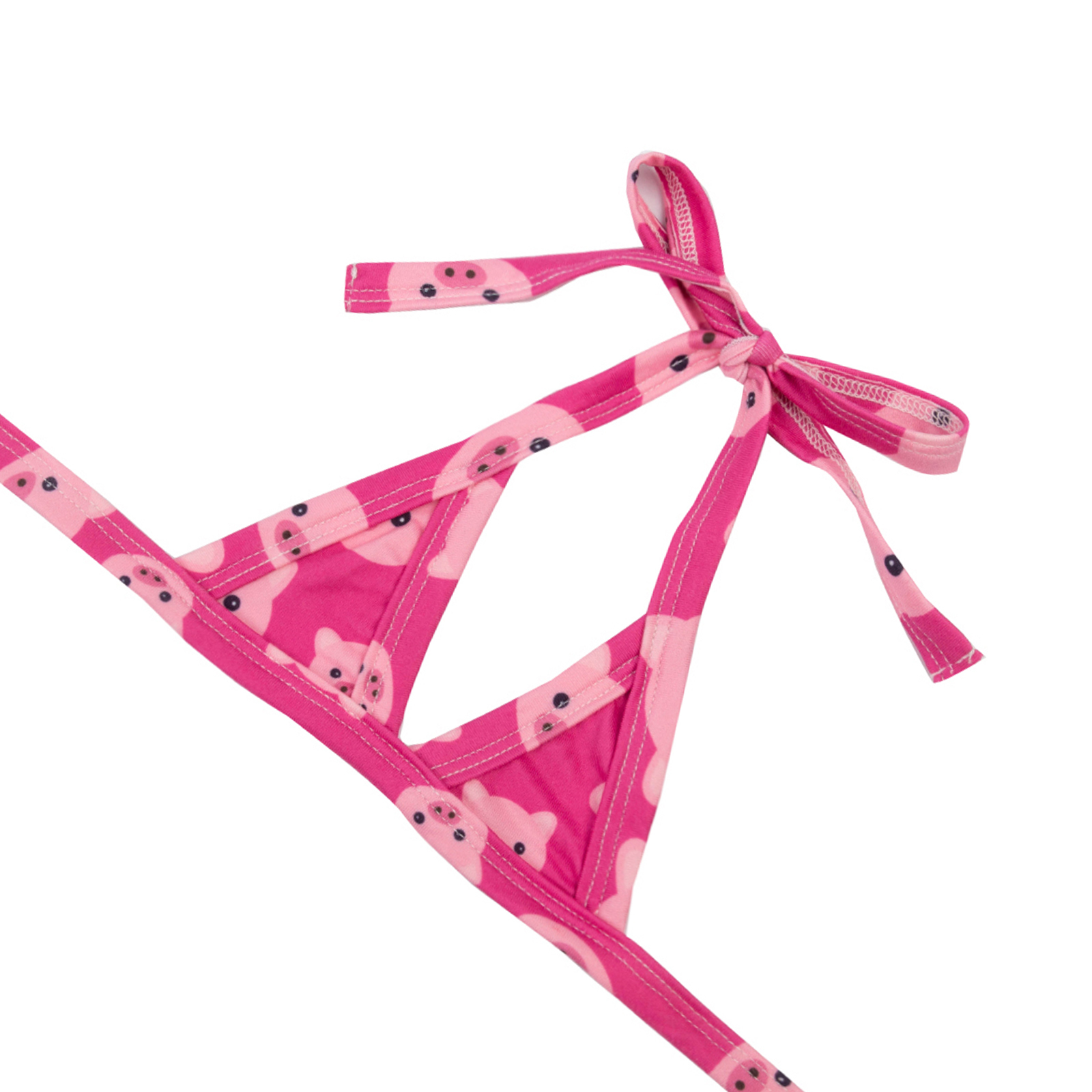 CuteBone Dog Bikini 2-Pack Swimsuit Puppy Bathing Suit for Small Dogs Clothes Flower & Pink Pig Girl Costume