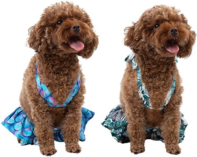CuteBone Dog Bikini 2-Pack Swimsuit Puppy Bathing Suit for Small Dogs Clothes Girl Costume