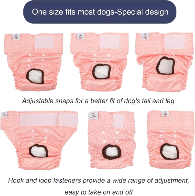 CuteBone Doggie Diapers for Female Dogs D16