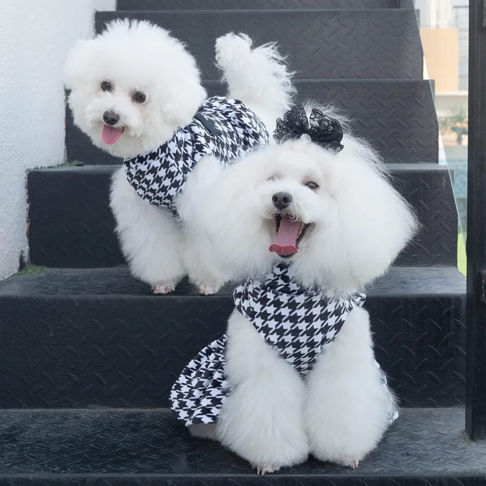 cutebone Dog dress with bow tie gift DW02