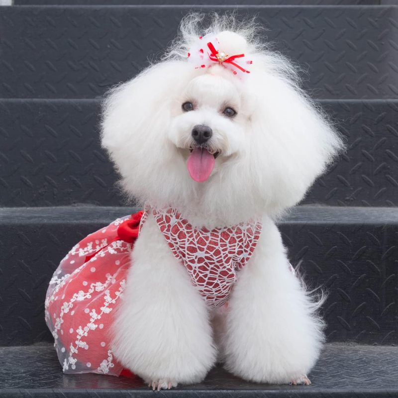 CuteBone Houndstooth Dog Dress Velvet Turtleneck Puppy Skirt with Bow Hair Rope Birthday Gift DD09
