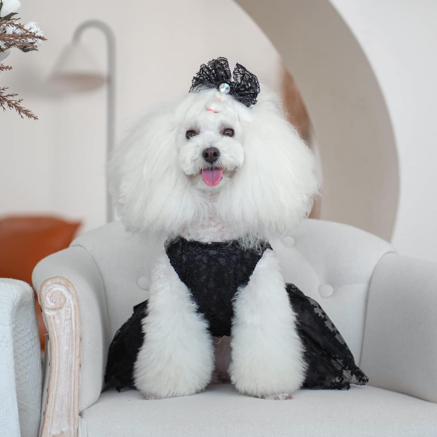 CuteBone Houndstooth Dog Dress Velvet Turtleneck Puppy Skirt with Bow Hair Rope Birthday Gift DD15