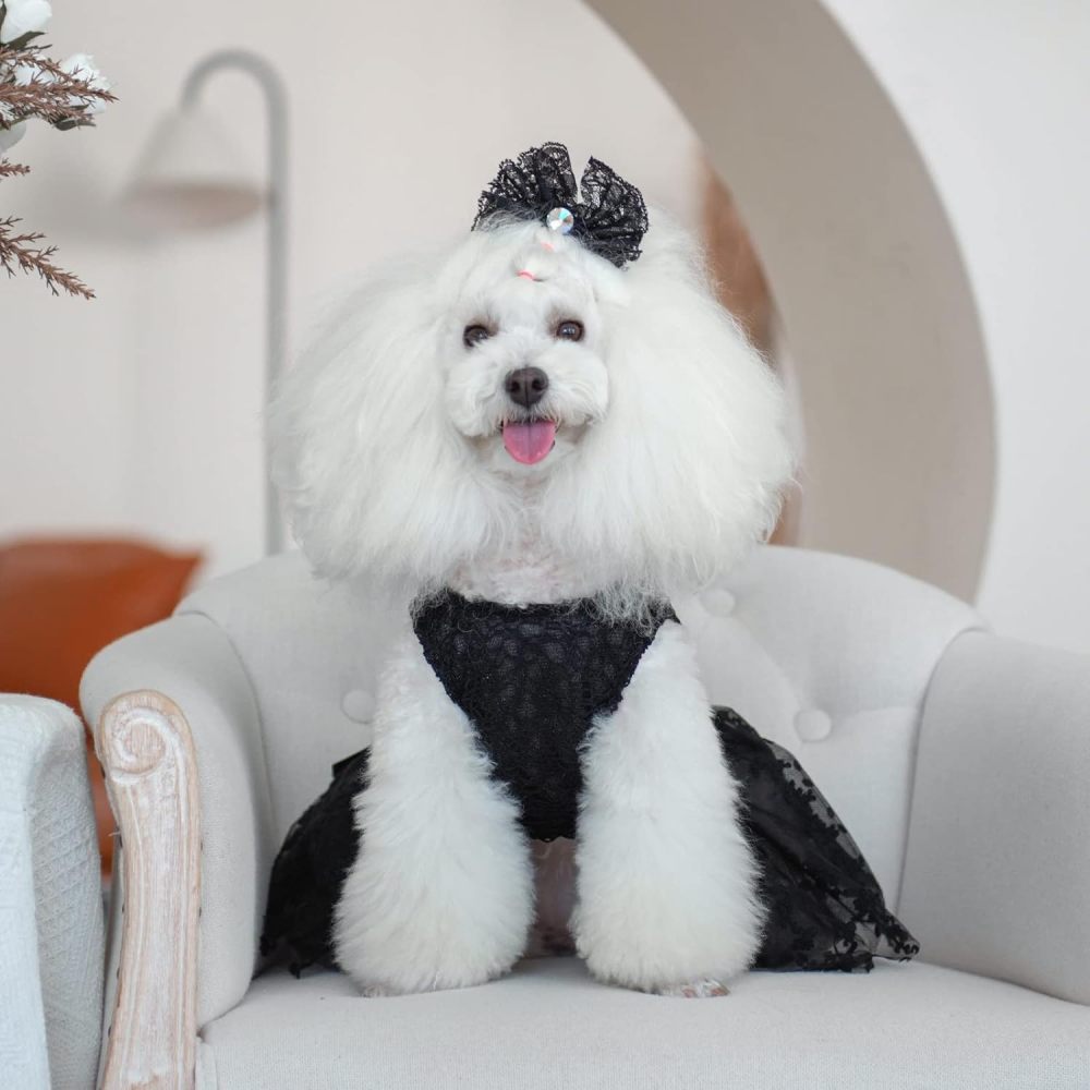 CuteBone Houndstooth Dog Dress Velvet Turtleneck Puppy Skirt with Bow Hair Rope Birthday Gift DD15