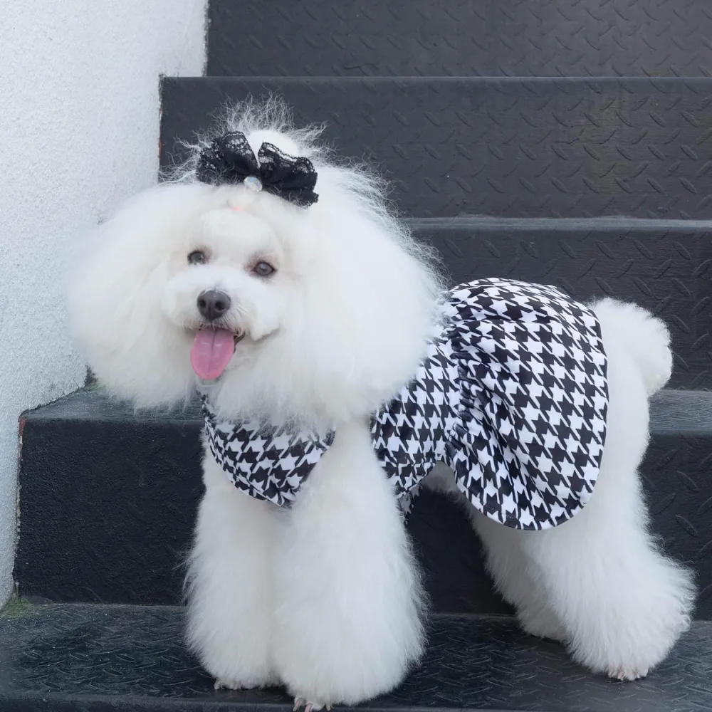 cutebone Dog dress with bow tie gift DW02