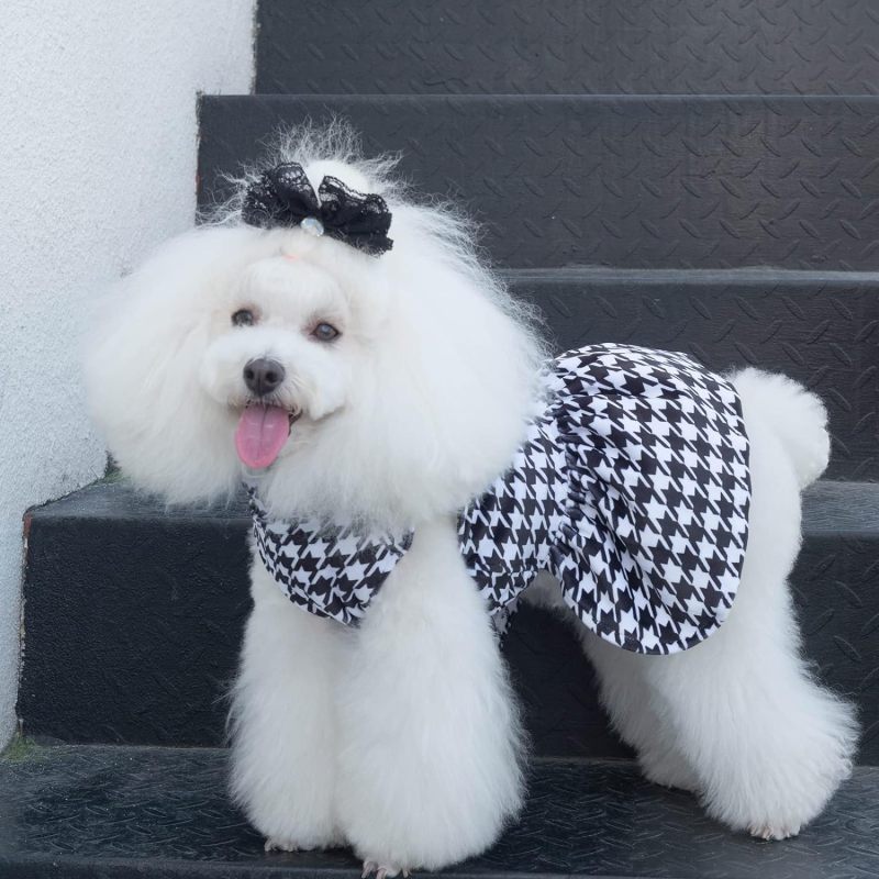 CuteBone Houndstooth Dog Dress Velvet Turtleneck Puppy Skirt with Bow Hair Rope Birthday Gift CVD04