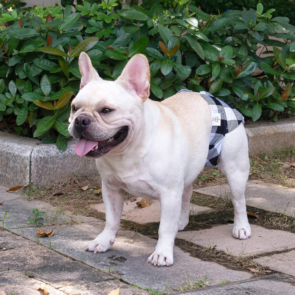 3 pack female dog diapers without tail hole