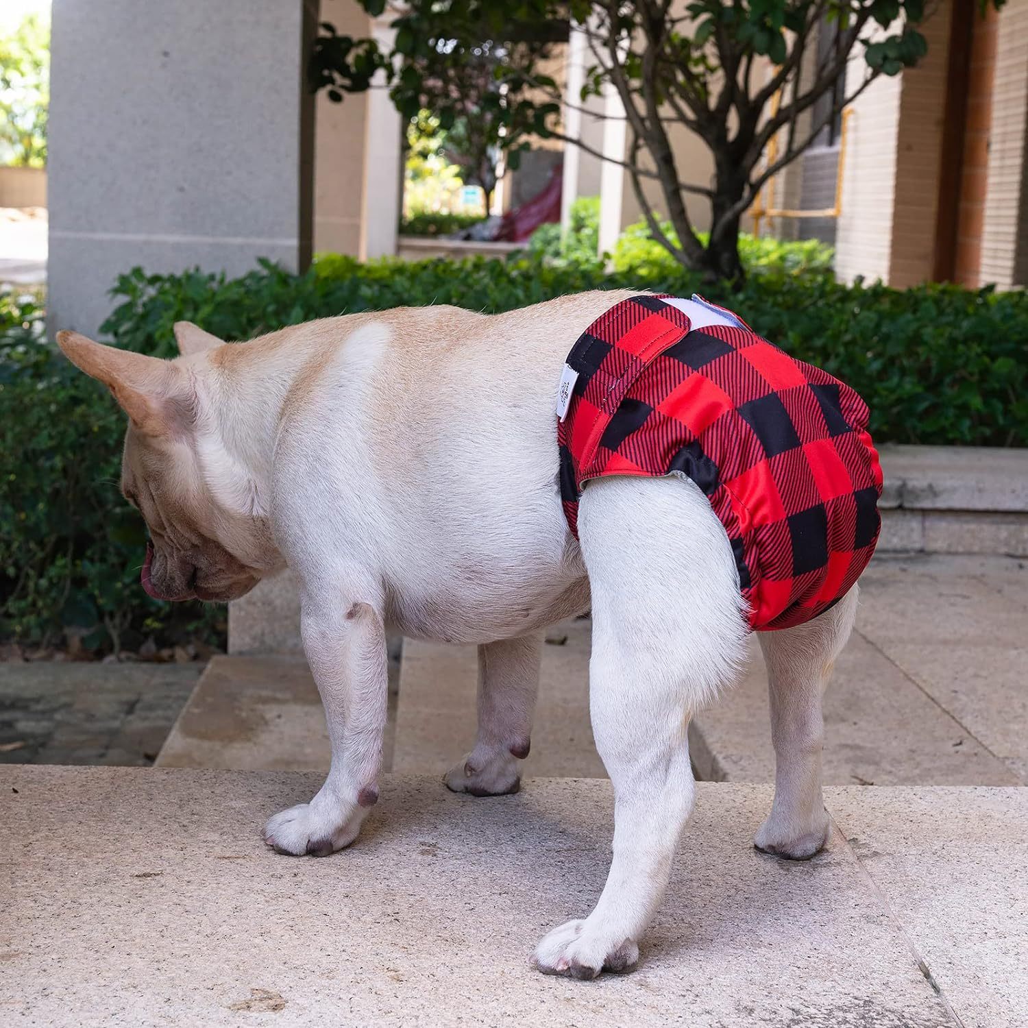 3 pack female dog diapers without tail hole