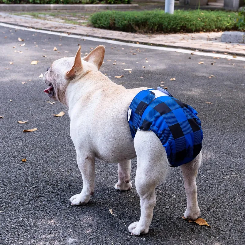 3 pack female dog diapers without tail hole