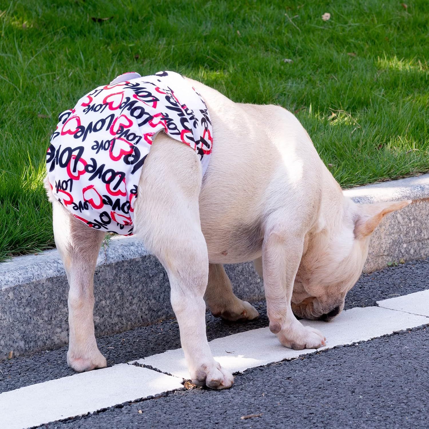 CuteBone Washable Dog Diapers Female 3 Pack Puppy Training Pants for Docked-tail Dogs WWD03