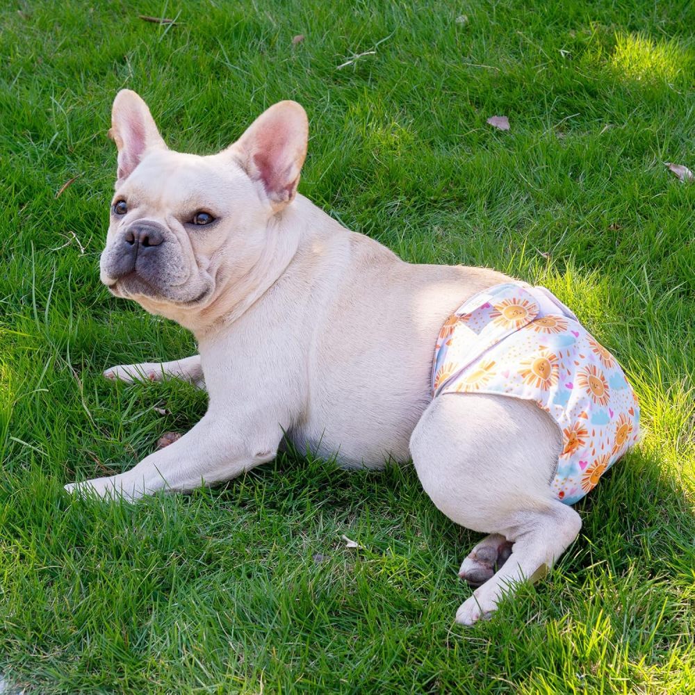 CuteBone Washable Dog Diapers Female 3 Pack Puppy Training Pants for Docked-tail Dogs WWD05