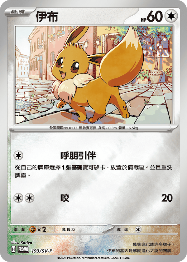 Pokemon TCG Traditional Chinese Collection Card Album Set The Eeveelution Family