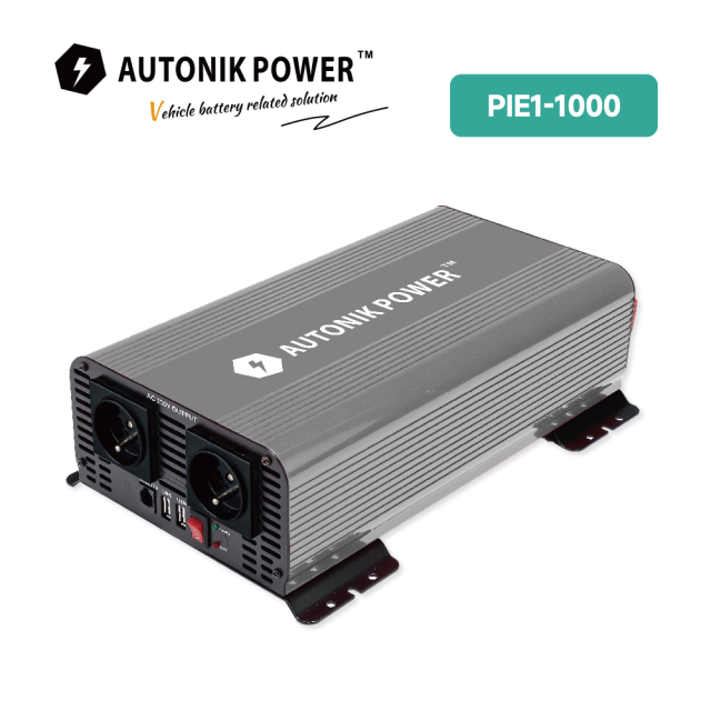 Piei Serirs Pure Sine Wave Inverter (PIEI-1500)