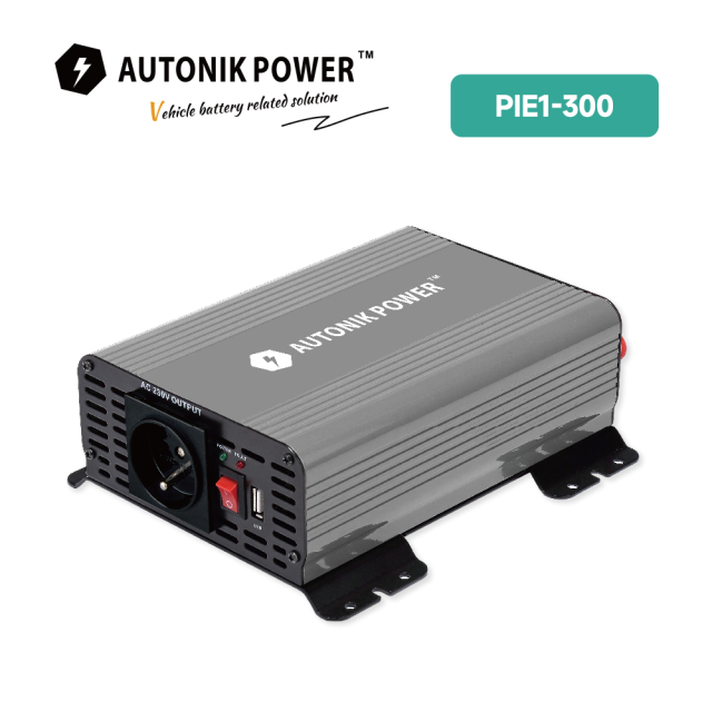 Piei Serirs Pure Sine Wave Inverter (PIEI-1000)